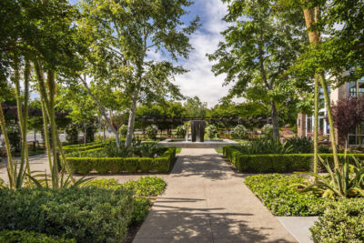 College Park - Chino California - Landscape Management by Bemus Landscape - Souther California