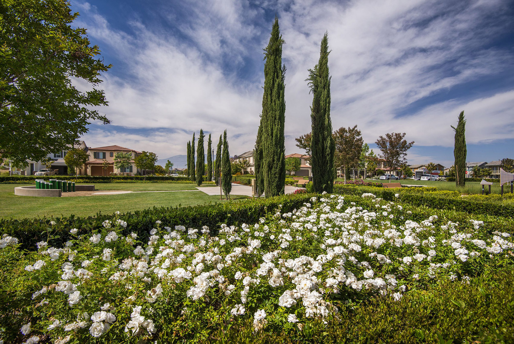 Commercial Business Park - Irvine, CA - Bemus Landscape - Southern California