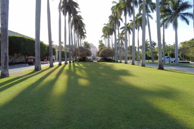 Commercial Landscape Maintenance - Top Cut Lawn Services - Palm Beach County, Florida