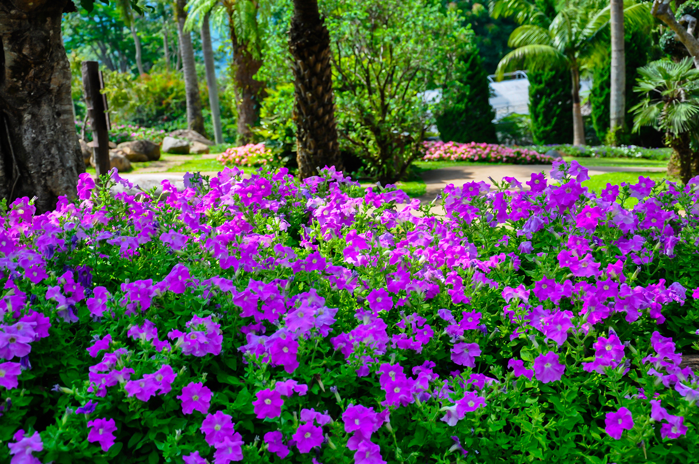 Landscape Pest Control - Top Cut Lawn Services - Palm Beach, FL