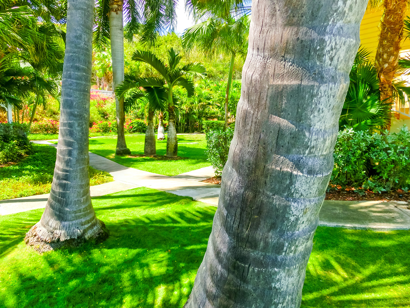 Landscape Pest Control - Top Cut Lawn Services - Palm Beach, FL