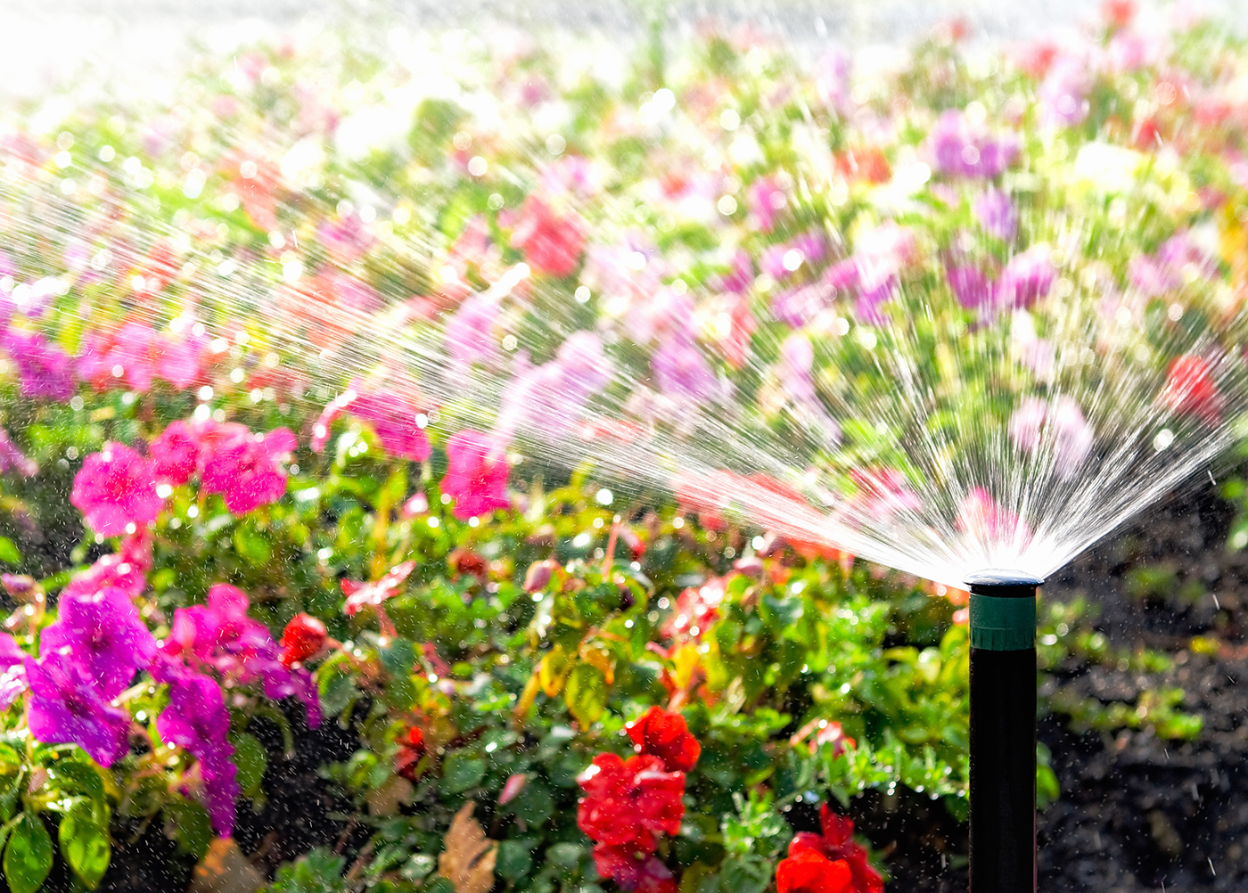 Water Management, Sprinkler System - Top Cut Lawn Services - Boyton Beach, FL